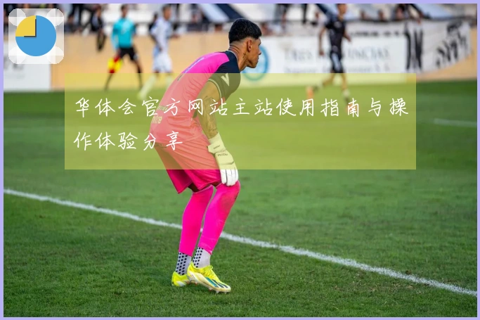 华体会官方网站主站使用指南与操作体验分享